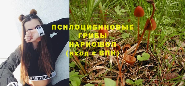 гидропоника Армянск