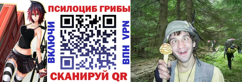 Псилоцибиновые грибы мицелий  даркнет сайт  Гулькевичи 